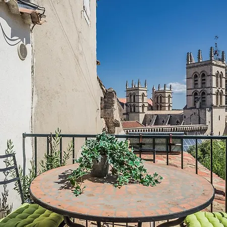 Duplex Cathedrale Saint Pierre - Premiere Conciergerie Appartement